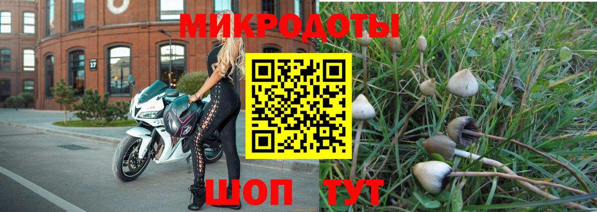 Псилоцибиновые грибы Psilocybe  Вход с VPN  купить  сайты  Вышний Волочёк 
